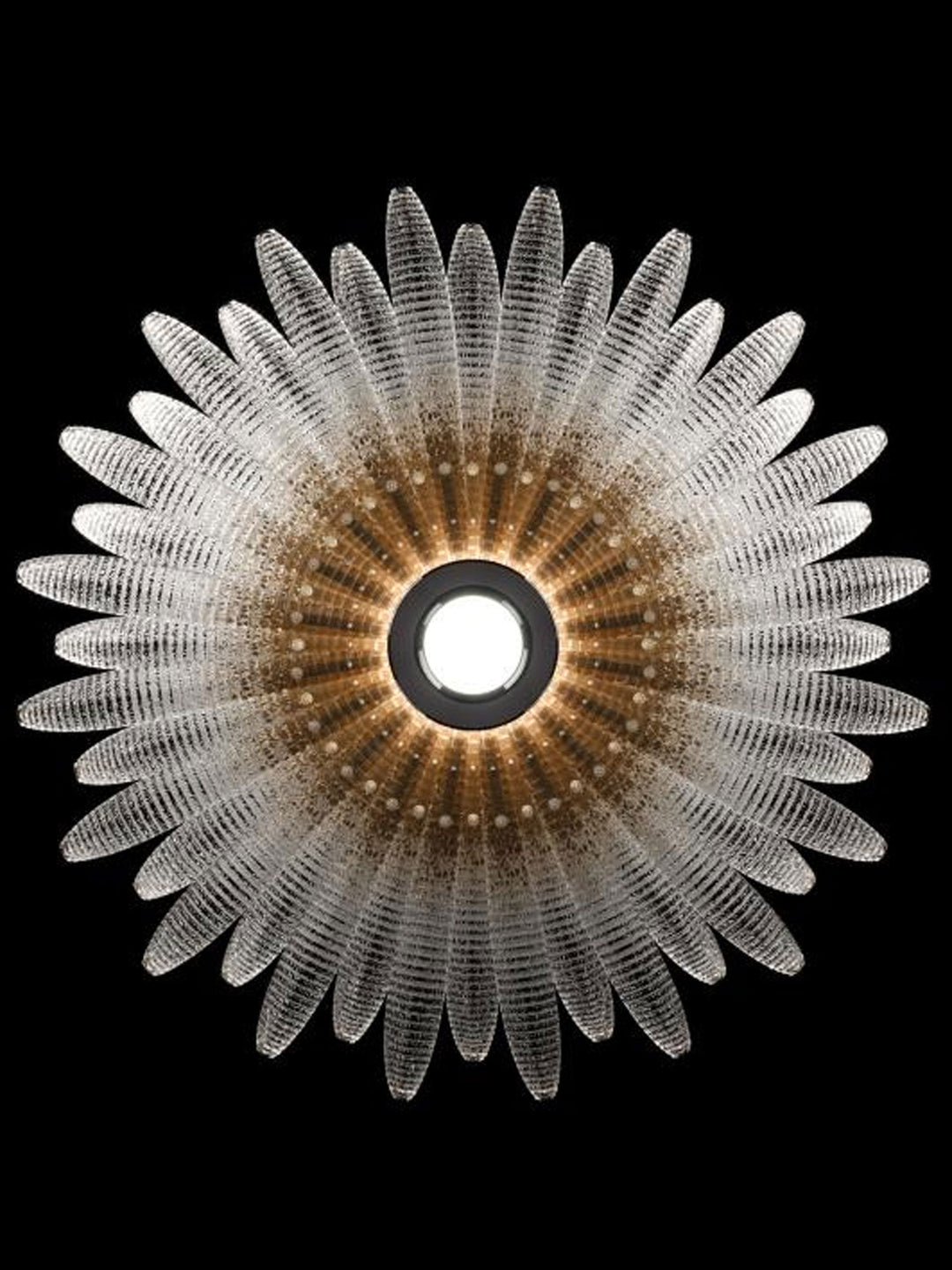 Valerio Aurelia lampadario in petali di vetro