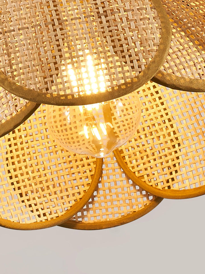 Celandine lampada a sospensione