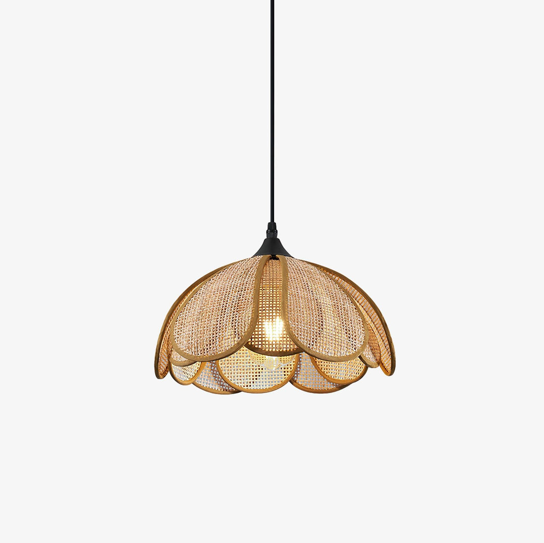 Celandine lampada a sospensione