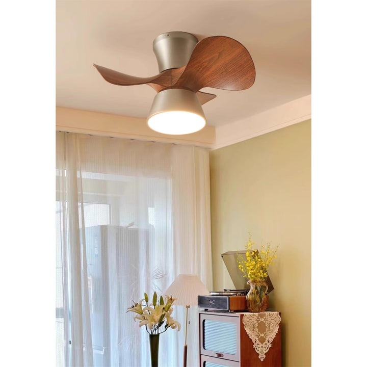 Caluelle ventilatore da soffitto con luce
