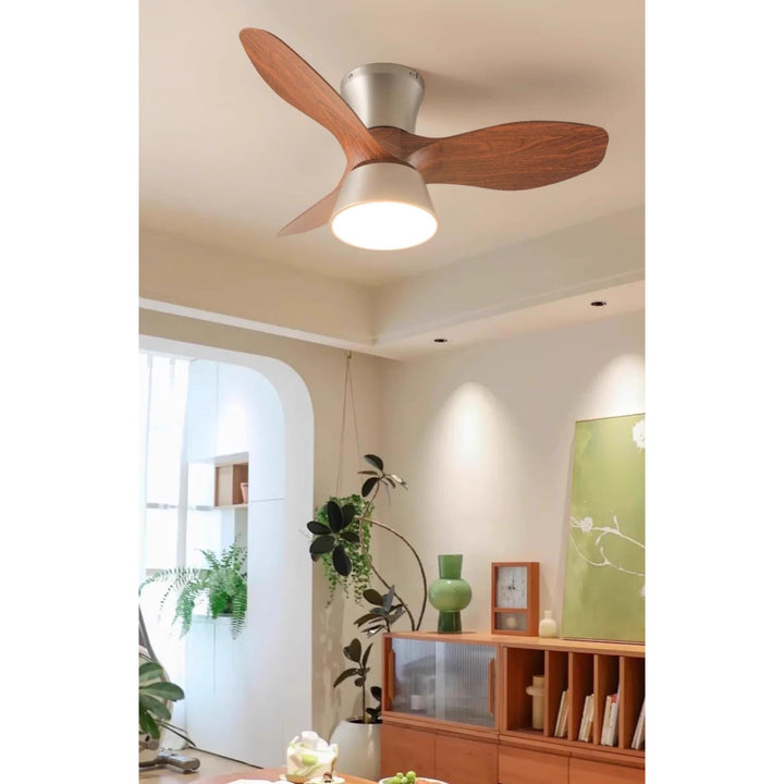 Caluelle ventilatore da soffitto con luce
