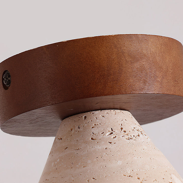 Viraalaine lampada da soffitto