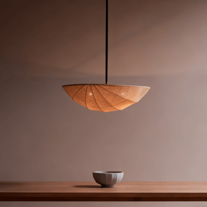 Ashcroft lampada a sospensione Saucer