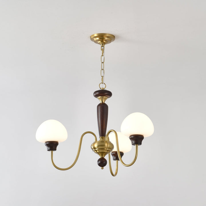 Rinivelle lampadario Braccio ottone Stelo legno Paralume a Fungo classico