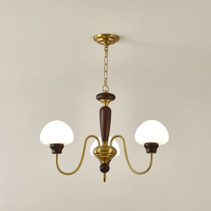 Rinivelle lampadario Braccio ottone Stelo legno Paralume a Fungo classico