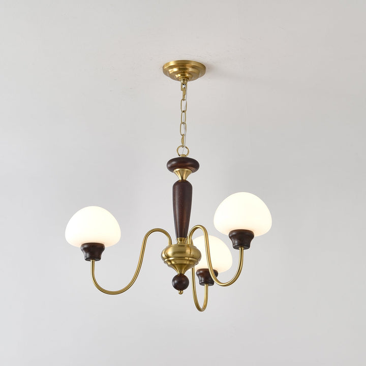 Rinivelle lampadario Braccio ottone Stelo legno Paralume a Fungo classico