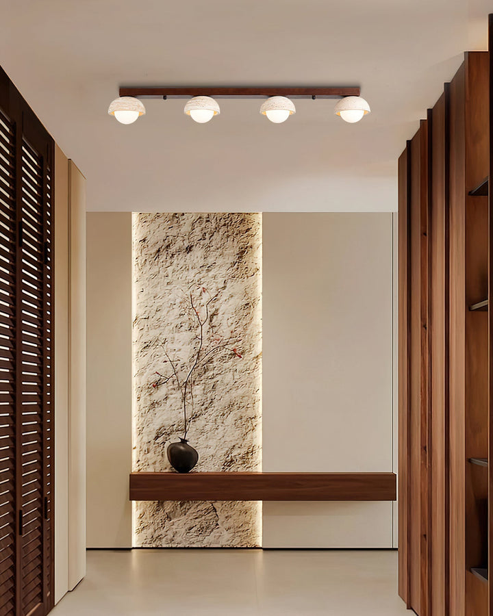 Palermo lampada da soffitto combinata