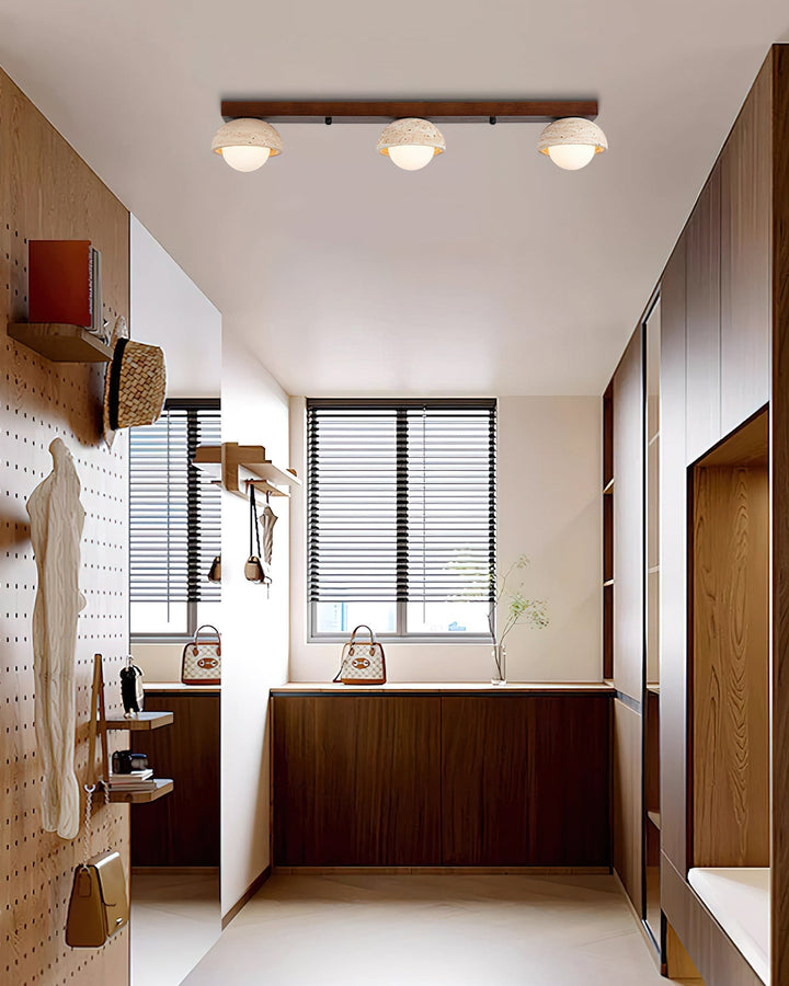 Palermo lampada da soffitto combinata