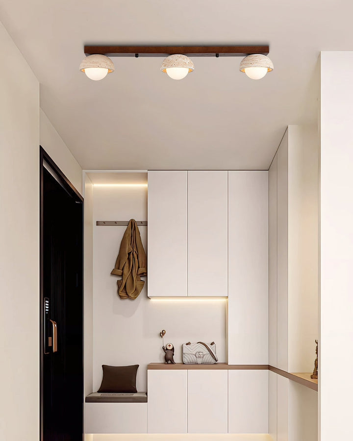 Palermo lampada da soffitto combinata