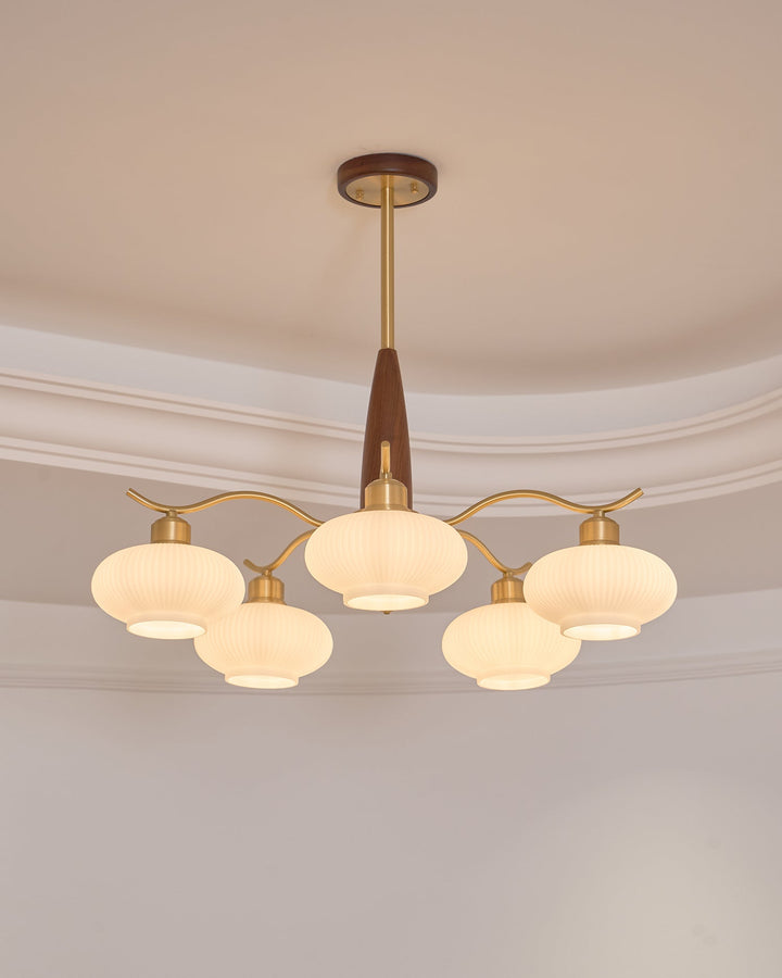 Cavien lampadario in ottone e Noce