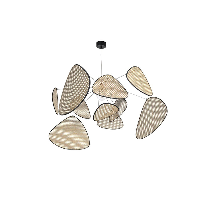 Screen Cannage Suspension - Blowlighting