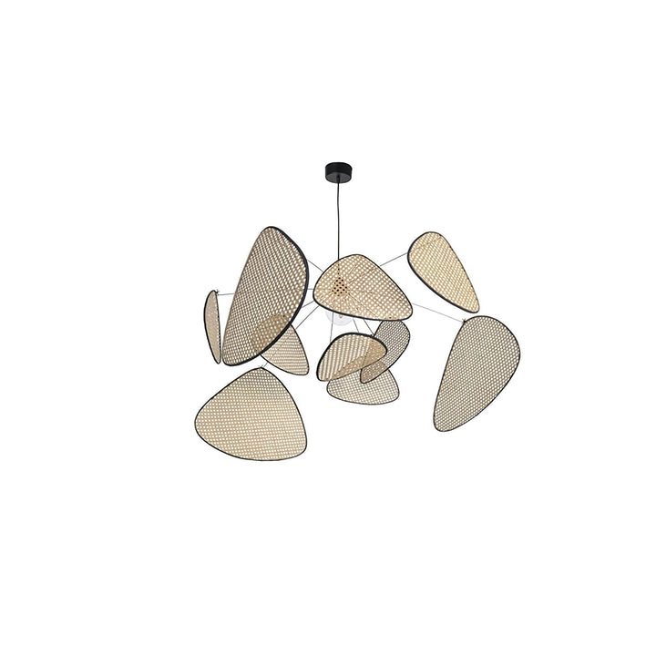 Screen Cannage Suspension - Blowlighting